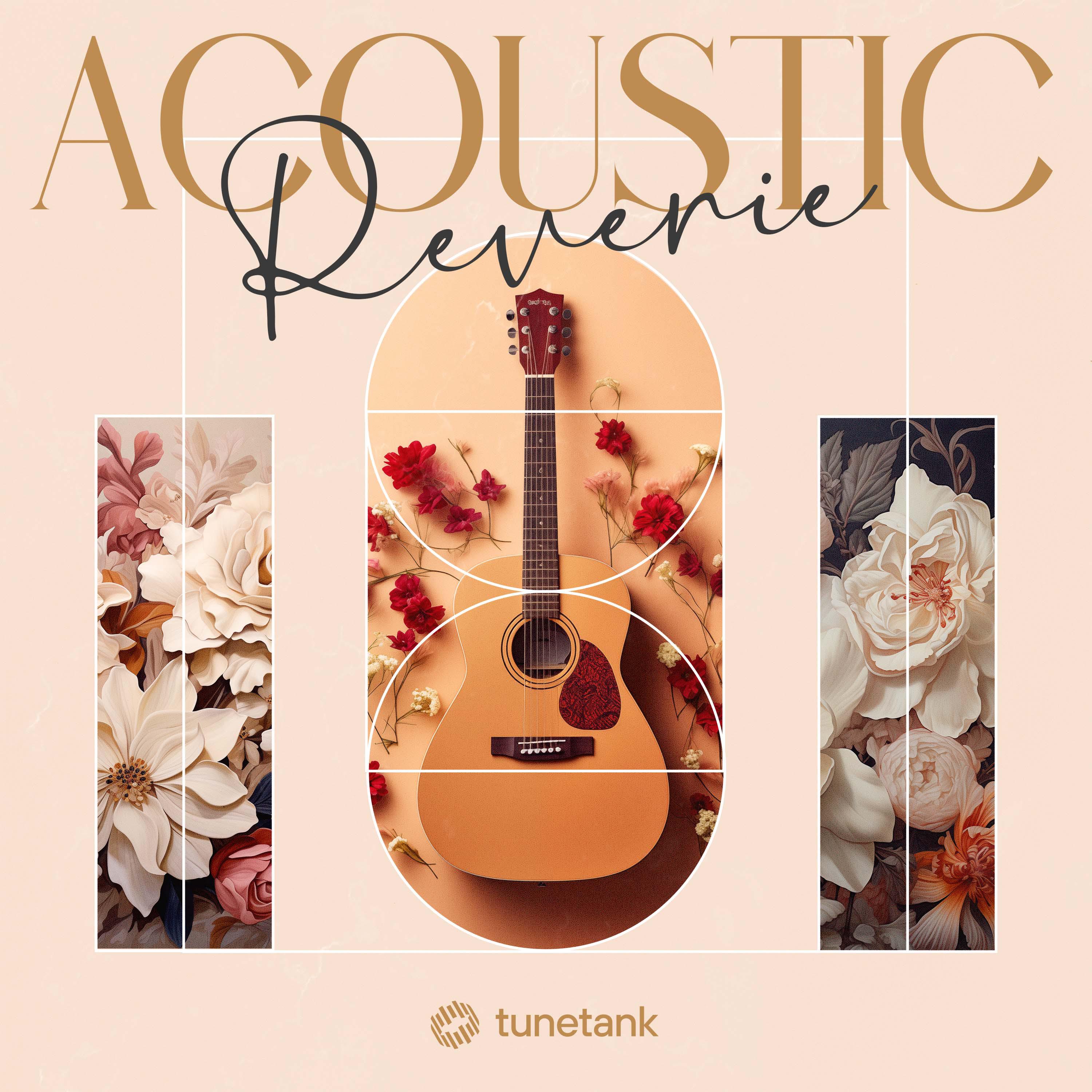 Acoustic Reverie
