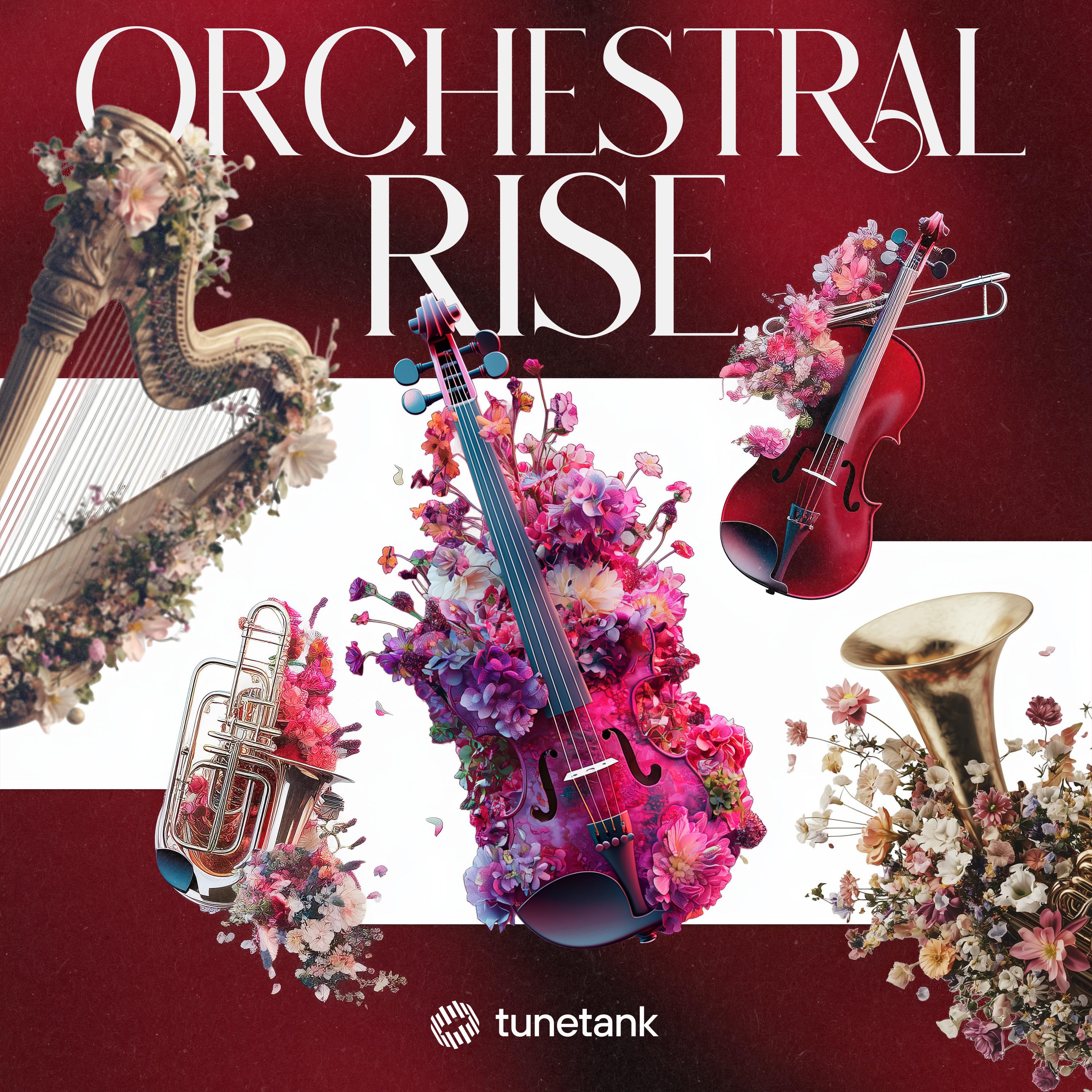 Orchestral Rise