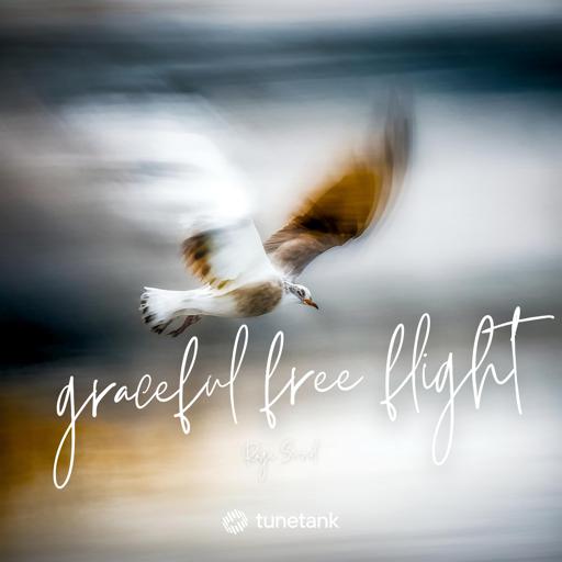 Graceful Free Flight