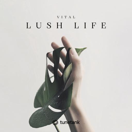 Lush Life