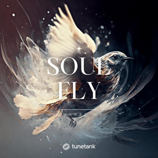 Soul Fly